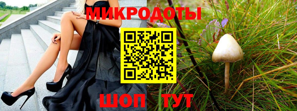 Галлюциногенные грибы Psilocybe Новотроицк